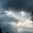 ����� ����������� �� ����������� ����� �� �������� ������