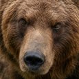 �� �������� � ������������ ��������� ������� � ����� ����������� ������ ������