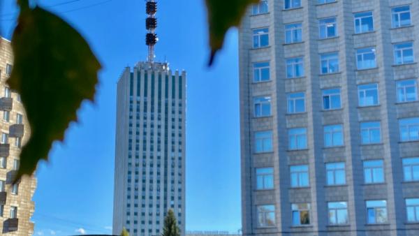 ���� News29