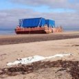 Журналисты обнаружили «фонящие» понтоны на берегу Белого моря близ Неноксы