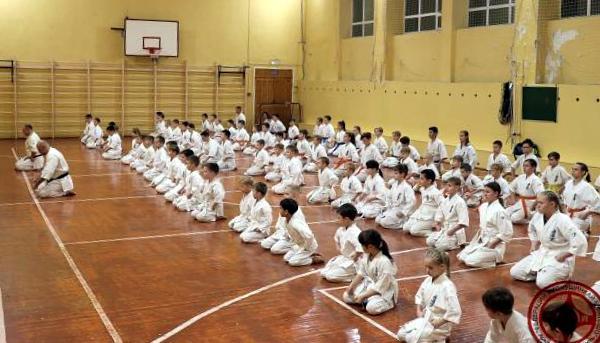 сенсей архангельск. сенсей архангельск. сенсей йошкар-ола. сенсей рязань. сенсей магазин нижний новгород.