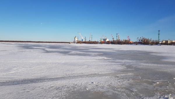 Реушеньга архангельск карта