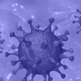 В Поморье число заразившихся коронавирусом за сутки увеличилось более чем вдвое