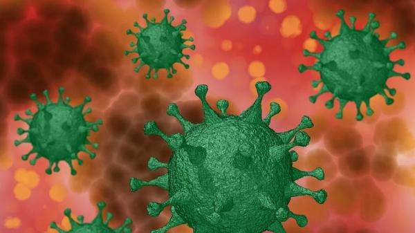 Обнародована информация по новым заболевшим коронавирусом в Архангельской области