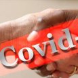 В Поморье за минувшие сутки не выявлено новых случаев заражения коронавирусом