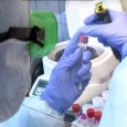 В Поморье тест-системы для определения коронавируса есть в четырех медучреждениях