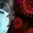 В Поморье второй день не фиксируют новых случаев заражения коронавирусом