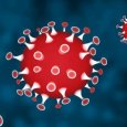 В Поморье число зараженных коронавирусом возросло до шести человек