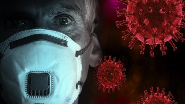 Без изменений: число заразившихся коронавирусом в Поморье не превышает 8 человек