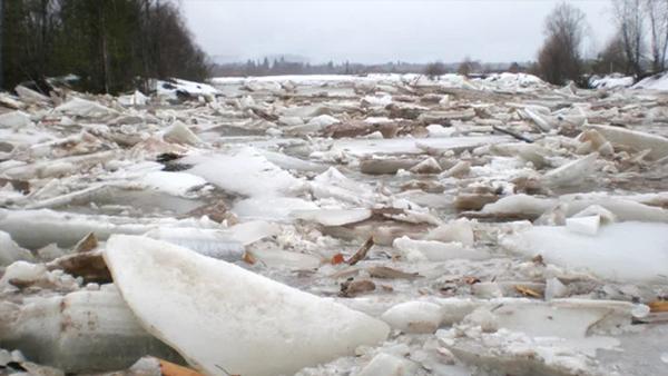 Жителей прибрежных архангельских деревень оповестили о подтоплениях из-за ледохода