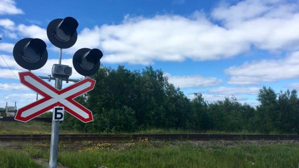 ДТП на ж/д-переезде в Архангельской области не повлияло на график движения поездов