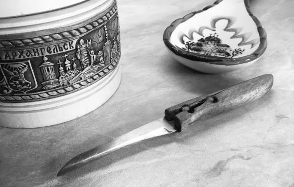 В Архангельской области 16-летний подросток напал на родную бабушку с ножом