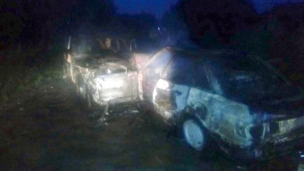 В Онежском районе сгорели два автомобиля из-за столкновения пьяных водителей