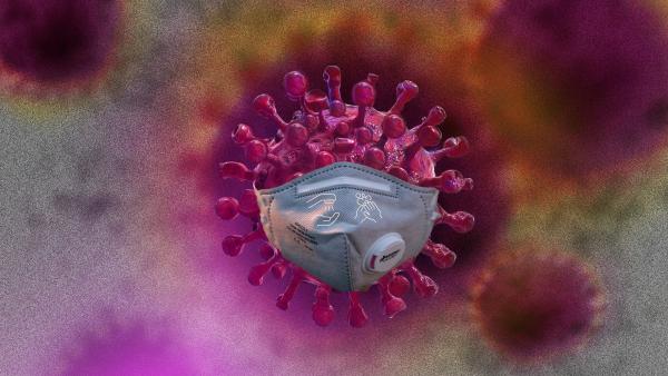 Уже неудивительно: в Поморье за сутки выявлено 325 новых случаев коронавируса