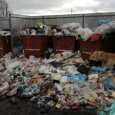 Архангельский депутат продемонстрировал мусорный «привет» от «Экоинтегратора»