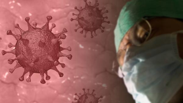 За сутки в Архангельской области коронавирусом заболели еще 342 человека