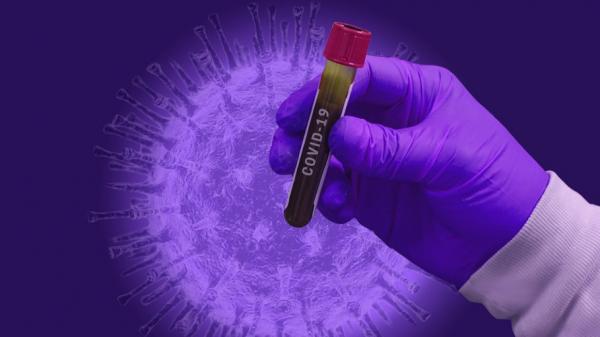 Коронавирусом в Поморье продолжают заболевать более 300 человек в сутки