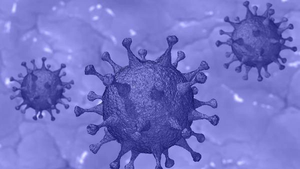 За сутки в Поморье выявлены 343 новых случая коронавирусной инфекции
