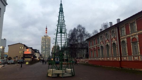 Праздник к нам приходит: на Чумбаровке устанавливают первую новогоднюю ёлку