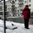 В Архангельске затягивается установка новых бюджетных остановочных павильонов