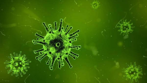 В Архангельской области за сутки 341 человек заболел коронавирусом