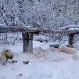 В деревне Рембуево Холмогорского района ввели режим ЧС из-за замёрзшего водопровода