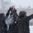 Водили хороводы и размахивали трусами: в Северодвинске прошла протестная акция