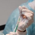 Оперштаб Поморья: вакцинация от коронавируса станет ежегодной