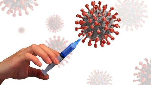 Более 11500 жителей Поморья прошли вакцинацию от коронавирусной инфекции