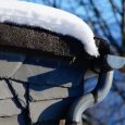 Видео: на северодвинскую школьницу упал снег с крыши