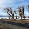 Аномальный холод в Архангельской области сменится резким потеплением