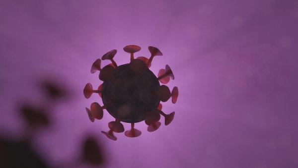 За минувшие сутки в Поморье выявили 94 новых случая коронавирусной инфекции