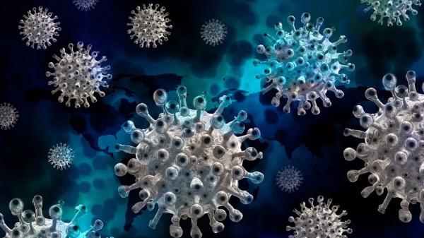 В Архангельской области выявлены 85 новых случаев коронавируса