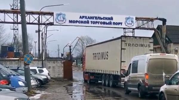 На кадрах: фрагмент видеозаписи, сделанной активистами центра помощи дикой фауне «Мата-Мата» в порту Архангельска