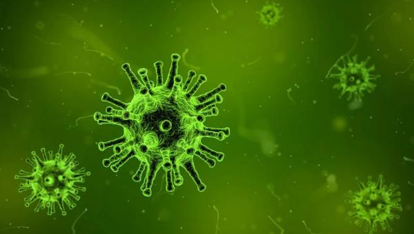 В Архангельской области за сутки выявлены 76 новых случаев коронавируса