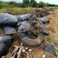 Звездный субботник у Новодвинской крепости выявил пробелы в мусорной сфере Поморья
