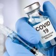Показатель заболеваемости COVID-19 в Поморье на 60% выше среднероссийского уровня