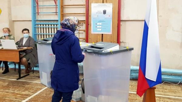 В Поморье дополнительные выборы в муниципальные парламенты выиграли единороссы