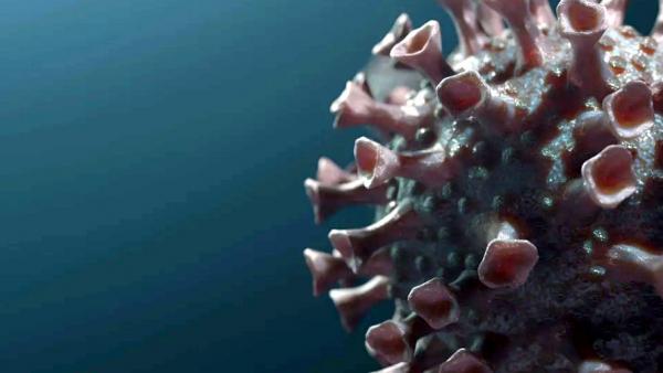 Стабильность, однако: за сутки в Поморье коронавирус выявлен у 269 жителей