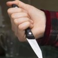 Эхо смертельного ДТП в Емецке: перед гибелью школьница ранила ножом младшего брата
