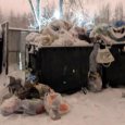 В Архангельске накануне новогодних праздников вновь обострилась мусорная проблема