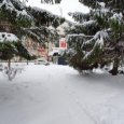 Архангельские синоптики рассказали о погоде на выходные: снегопадов не ожидается