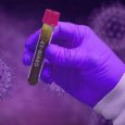 В Поморье вновь установлен антирекорд по суточной заболеваемости коронавирусом