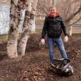 Городские власти намерены очистить Архангельск от грязи и мусора ко Дню Победы