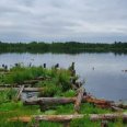Работник «РВК-Архангельск» оштрафован на 2000 рублей за загрязнение озера Бутыгино