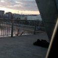 С жд-моста в Архангельске в Северную Двину спрыгнул мужчина