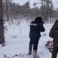 Эксперт одного из природных заказников в Архангельской области пойдет под суд