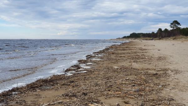 Утонувший в Белом море северодвинец перед купанием употреблял алкоголь