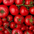 В свежих азербайджанских томатах, прибывших в Архангельск, обнаружили вредителей