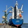 Дмитрий Морев оценил перспективы развития Архангельского морского торгового порта
